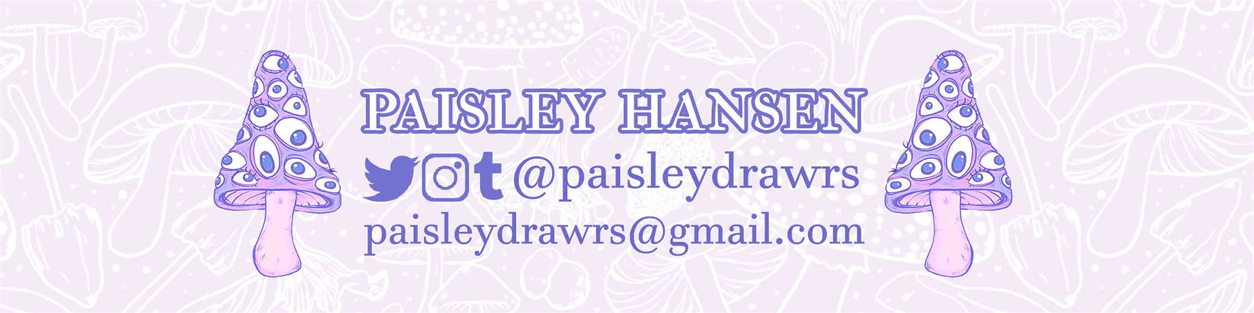 paisleydrawrrsTest Banner