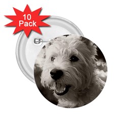 Westie Puppy 10 Pack Regular Button (round) by Koalasandkangasplus