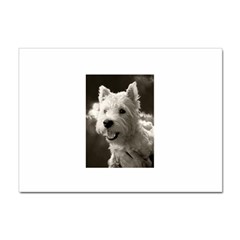 Westie Puppy 100 Pack A4 Sticker by Koalasandkangasplus