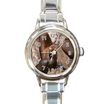 Sea Lions Round Italian Charm Watch Front