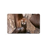 Sea Lions Magnet (Name Card) Front