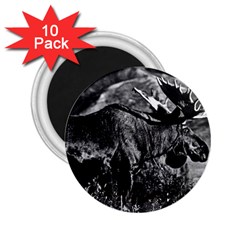 Vintage Usa Alaska Bull Moose 1970 10 Pack Regular Magnet (round) by Vintagephotos