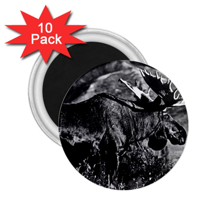 Vintage USA Alaska bull moose 1970 10 Pack Regular Magnet (Round)
