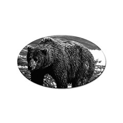 Vintage Usa Alaska Brown Bear 1970 Sticker (oval) by Vintagephotos