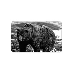 Vintage Usa Alaska Brown Bear 1970 Name Card Sticker Magnet by Vintagephotos