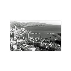 Vintage Principality Of Monaco  The Port Of Monte Carlo 10 Pack Sticker (rectangle)