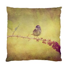 Palm Warbler Twin-sided Cushion Case by heathergreen