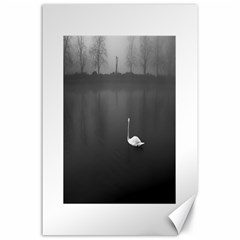 Swan 24  X 36  Unframed Canvas Print