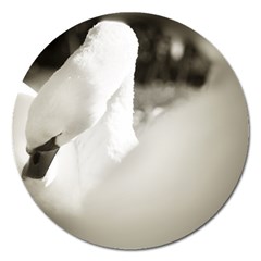 Swan Extra Large Sticker Magnet (round) by artposters