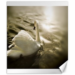 Swan 20  X 24  Unframed Canvas Print