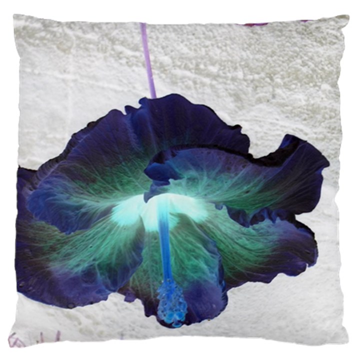 Exotic Hybiscus   Large Cushion Case (Two Sides)