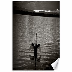 swan, Canberra 12  x 18  Unframed Canvas Print