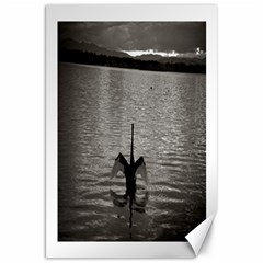 swan, Canberra 20  x 30  Unframed Canvas Print