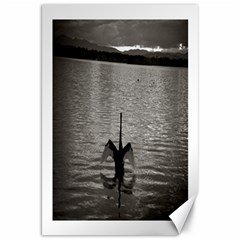 Swan, Canberra 20  X 30  Unframed Canvas Print by artposters