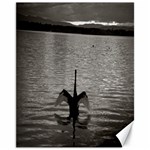 swan, Canberra 11  x 14  Unframed Canvas Print 10.95 x13.48  Canvas - 1