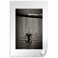 Swan, Canberra 24  X 36  Unframed Canvas Print by artposters