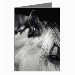 Horse Large Greeting Card by artposters