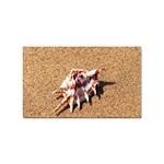 Seashells On The Beach Leaving My Beauty On Earth Forever Sticker Rectangular (10 pack) Front