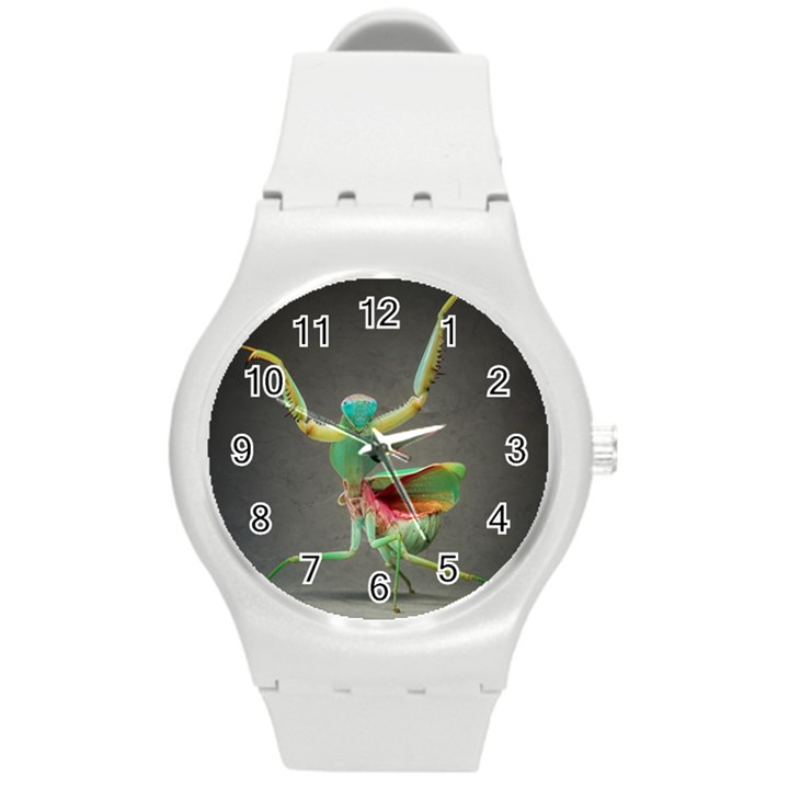 Dancing Insects Mantis Round Plastic Sport Watch Medium