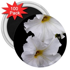 White Peonies   100 Pack Large Magnet (round) by Elanga