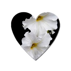 White Peonies   Large Sticker Magnet (heart)