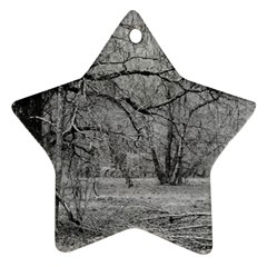 Black And White Forest Twin-sided Ceramic Ornament (star) by Elanga