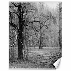 Black And White Forest 18  X 24  Unframed Canvas Print by Elanga