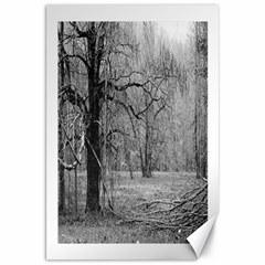 Black And White Forest 20  X 30  Unframed Canvas Print by Elanga