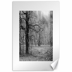 Black And White Forest 24  X 36  Unframed Canvas Print by Elanga