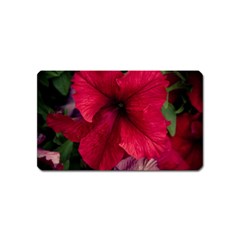 Red Peonies Name Card Sticker Magnet