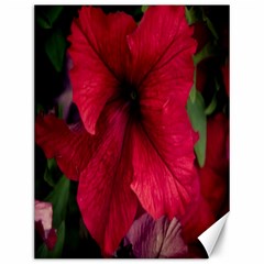 Red Peonies 12  X 16  Unframed Canvas Print