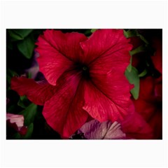 Red Peonies Twin-sided Handkerchief