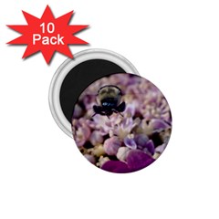 Flying Bumble Bee 10 Pack Small Magnet (round) by Elanga