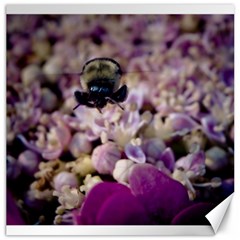 Flying Bumble Bee 16  X 16  Unframed Canvas Print by Elanga
