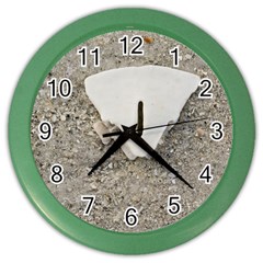 Quarter Of A Sand Dollar Colored Wall Clock by Elanga