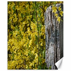 Yellow Bells 16  X 20  Unframed Canvas Print by Elanga