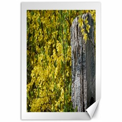 Yellow Bells 20  X 30  Unframed Canvas Print by Elanga