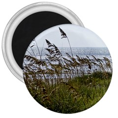 Cocoa Beach, Fl Large Magnet (round)