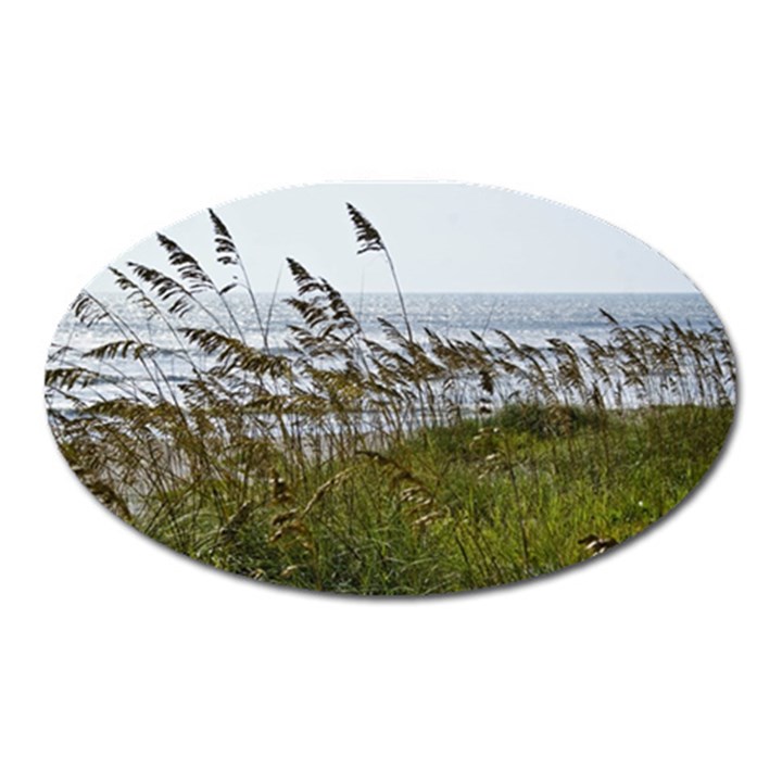 Cocoa Beach, Fl Large Sticker Magnet (Oval)