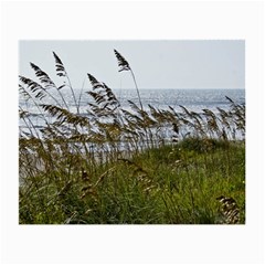 Cocoa Beach, Fl Glasses Cleaning Cloth by Elanga