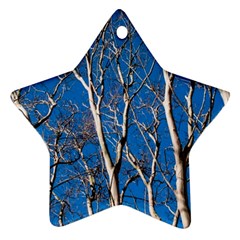 Trees On Blue Sky Ceramic Ornament (star)