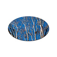 Trees On Blue Sky 10 Pack Sticker (oval)