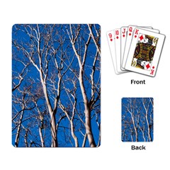 Trees On Blue Sky Standard Playing Cards by Elanga