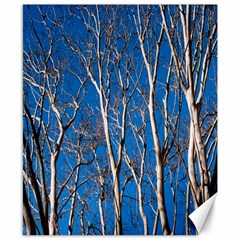 Trees On Blue Sky 8  X 10  Unframed Canvas Print