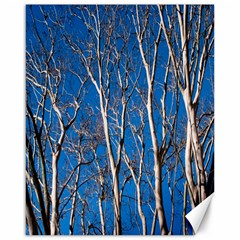 Trees On Blue Sky 16  X 20  Unframed Canvas Print by Elanga