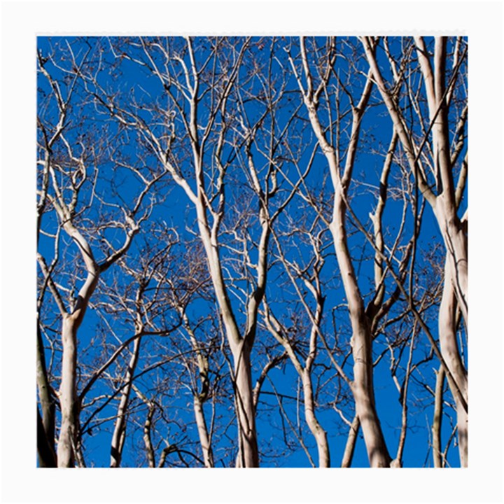 Trees on Blue Sky Twin-sided Large Glasses Cleaning Cloth