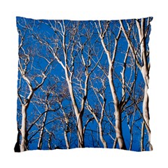 Trees On Blue Sky Single-sided Cushion Case by Elanga