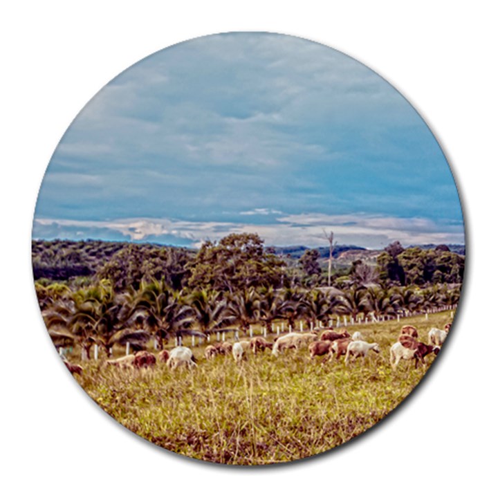 Farm View 8  Mouse Pad (Round)