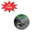 Red Wolf 1  Mini Button Magnet (10 pack) Front