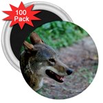 Red Wolf 3  Button Magnet (100 pack) Front